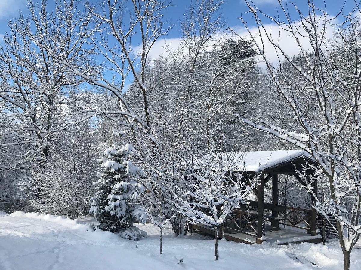 Gallery Of Mountains Holiday Home Yasinia Esterno foto