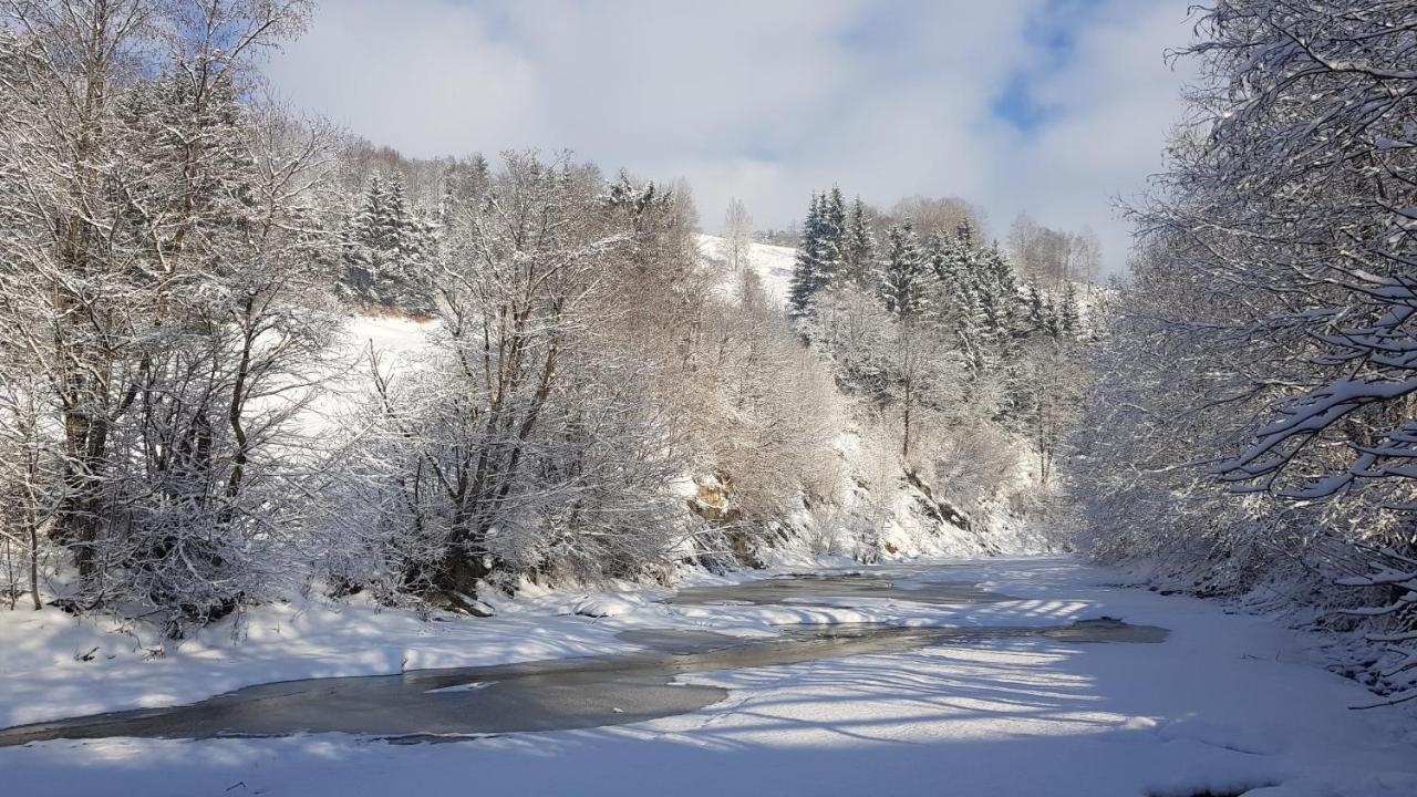 Gallery Of Mountains Holiday Home Yasinia Esterno foto